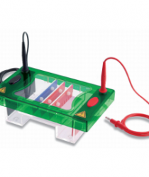 Điện di ngang Mini, Consort, EHS1200-SYS